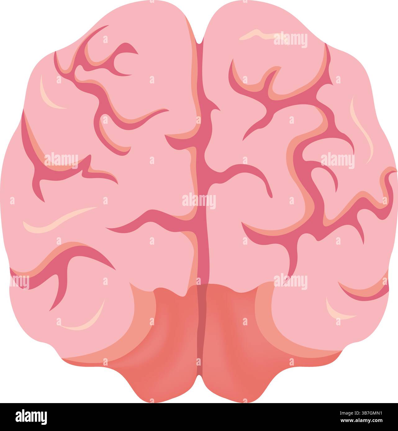 Illustrazione del vettore di progettazione dell'anatomia cerebrale umana Illustrazione Vettoriale