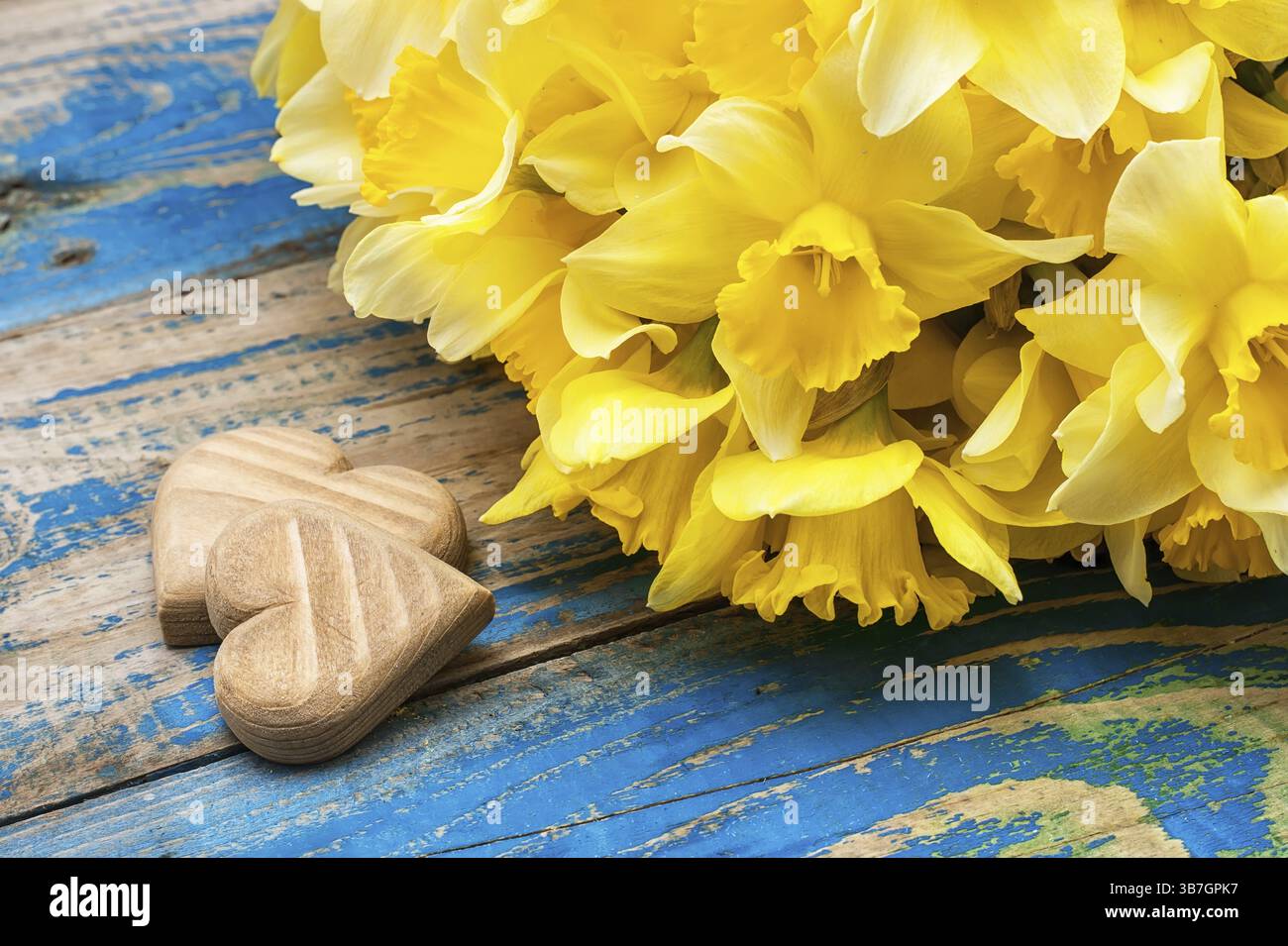 Bouquet di narcisi in fiore sullo sfondo di due cuori simbolici in legno Foto Stock