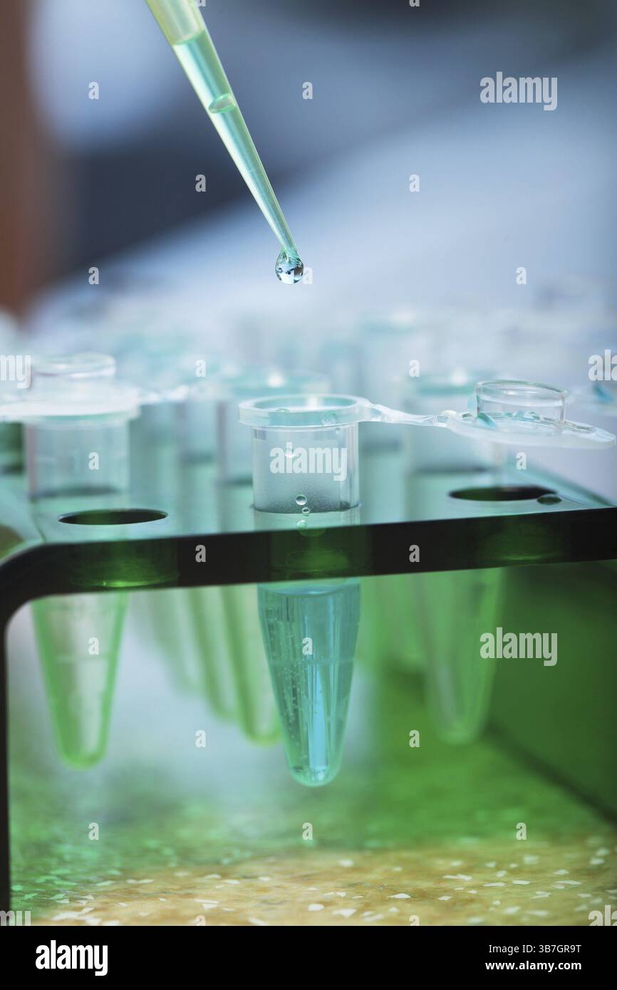 Laboratorio moderno sul luogo di lavoro per test di biologia molecolare Foto Stock