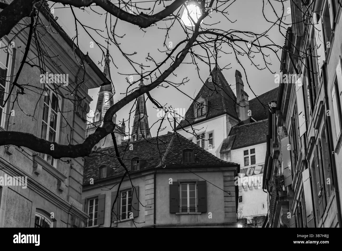 Ramo d'albero e via nella città vecchia con Casa e Torre della Cattedrale al tramonto nella città di Neuchatel, Canton Neuchatel, Svizzera, Europa Foto Stock