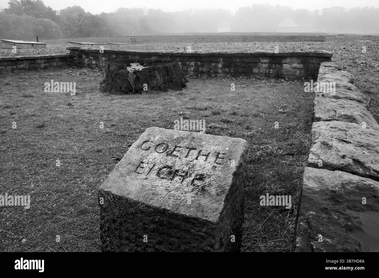 Pietra commemorativa per la quercia di Goethe nel campo di concentramento della foresta di faggi, oggi un memoriale del campo di concentramento, Weimar, Turingia, Germania, Europa Foto Stock Pietra commemorativa per la quercia di Goethe nel campo di concentramento della foresta di faggi, oggi un memoriale del campo di concentramento, Weimar, Turingia, Germania, Europa Foto Stock