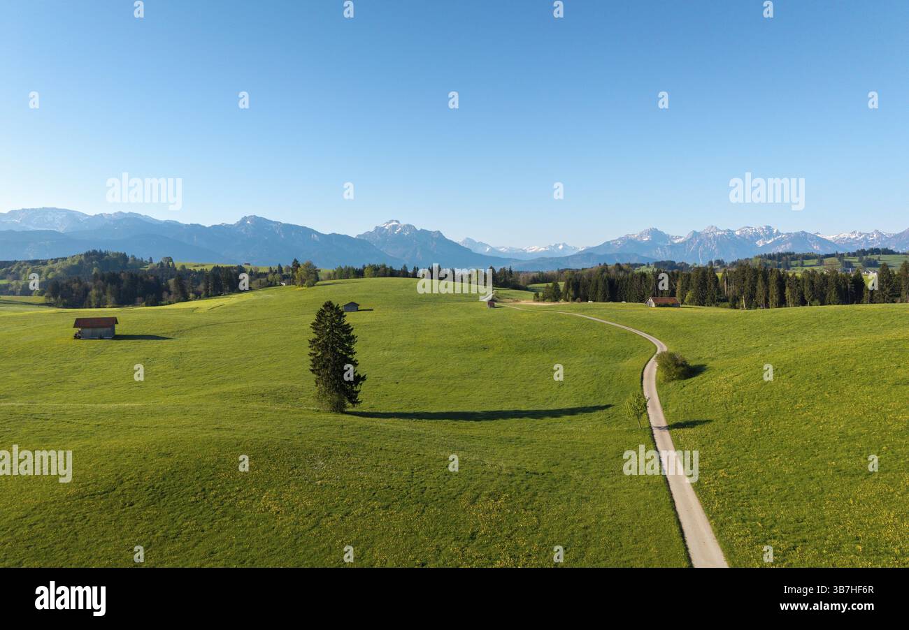 Lungo sentiero che si snoda attraverso verdi campi con vista sulle montagne sotto un cielo luminoso, Alpi, vicino a Fuessen, Ostallgaeu, Allgaeu, Baviera, Germania, Europa Foto Stock