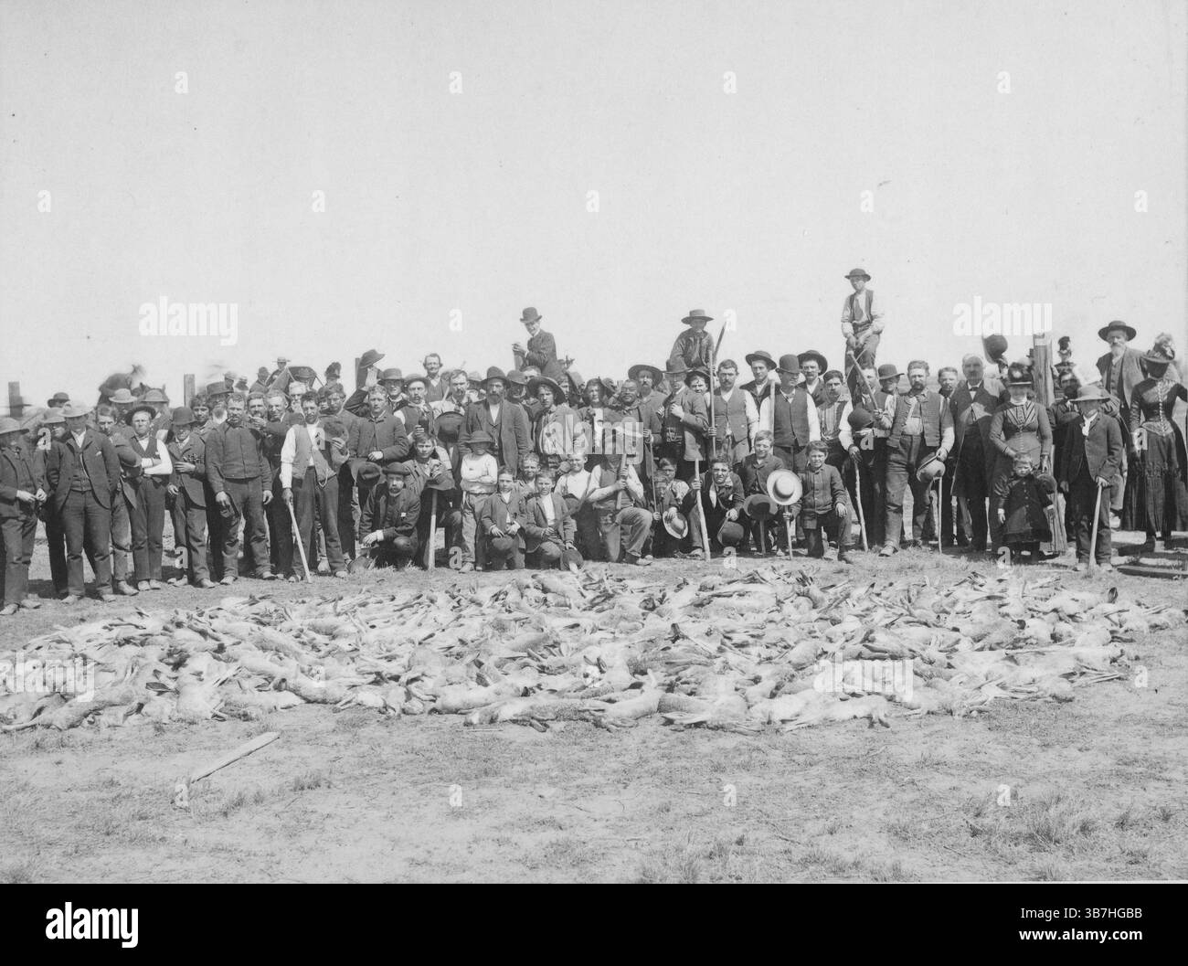 Rabbit Drive vicino a Visalia, Tulare County, California, 1888. I partecipanti posano con la loro morte alla fine di un viaggio di coniglio tenuto nel 1888 vicino a Visalia, Tulare County, CA. Archivio foto del XIX secolo Foto Stock