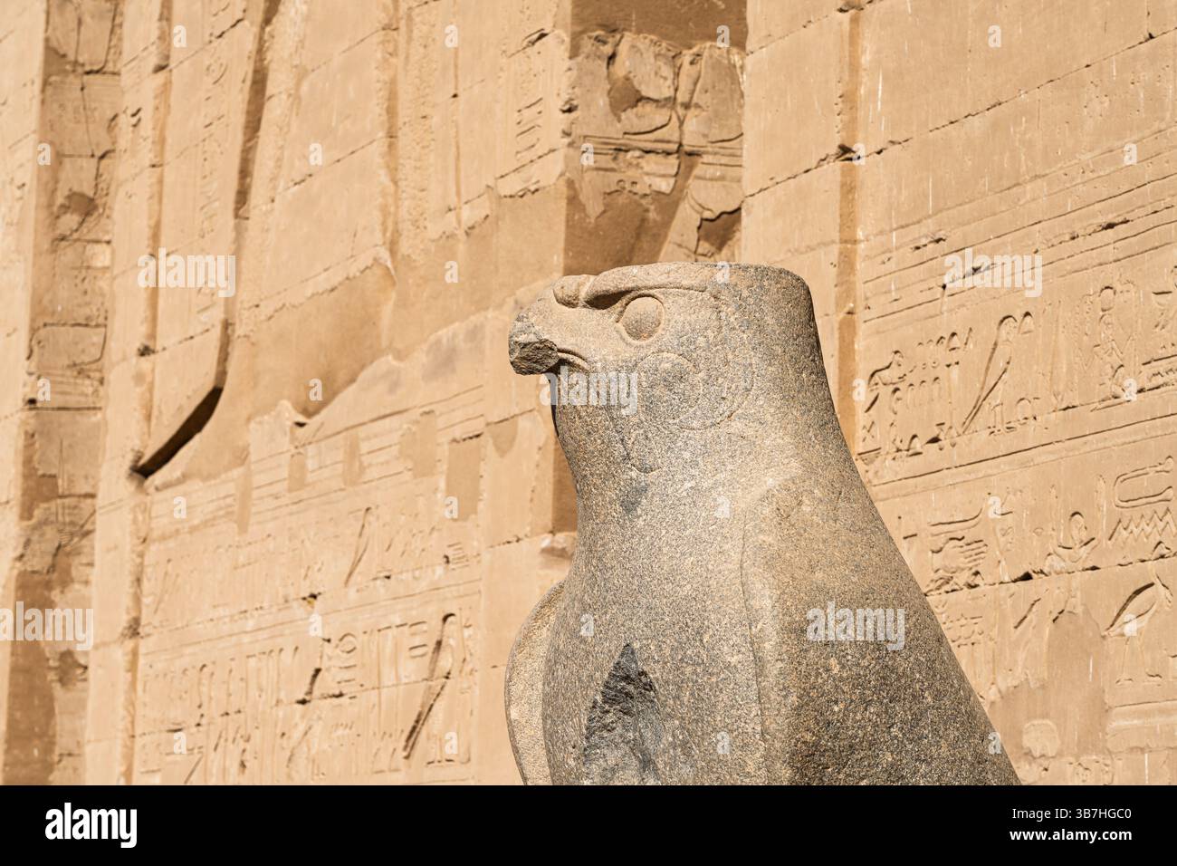 Dettaglio della statua scolpita di Horus fuori dal pilone all'ingresso del massiccio tempio di Edfu dedicato a Horus e Hathor Foto Stock
