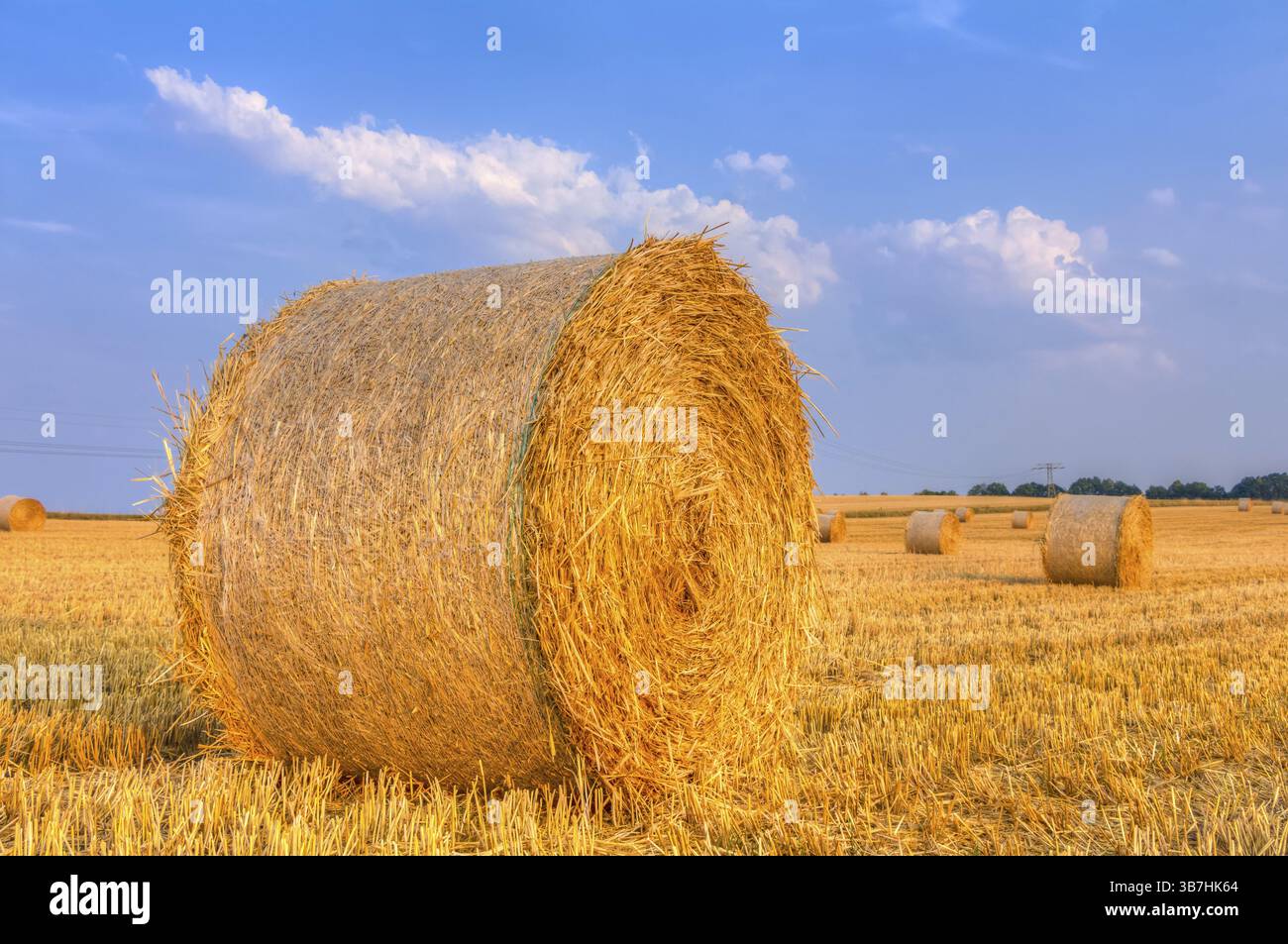 Golden haye balle durante il raccolto Foto Stock