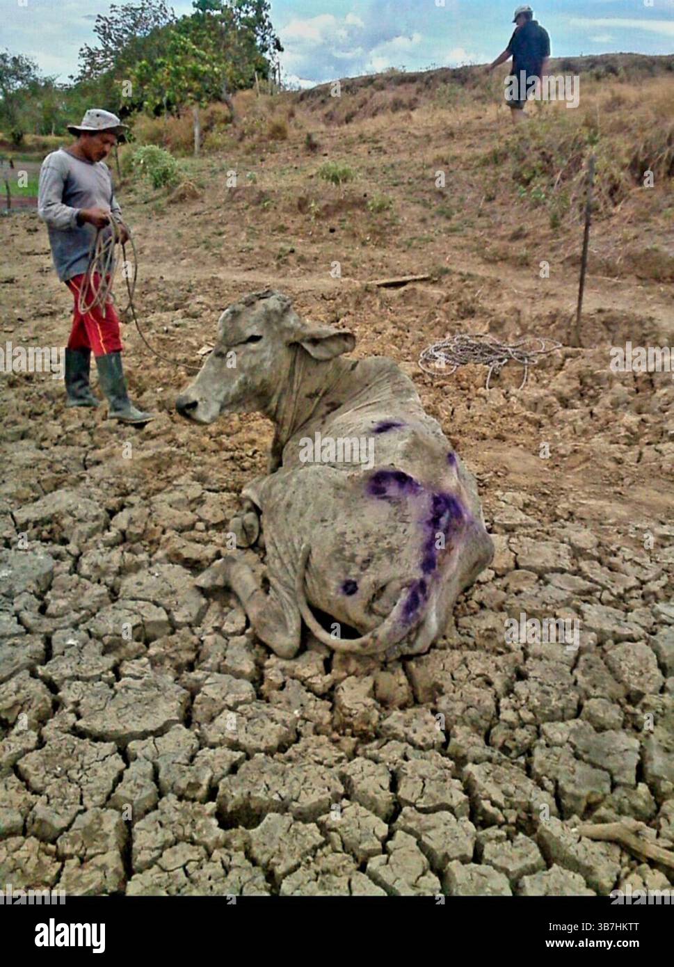 17 aprile 2024: Natagaima - Tolima abril de 2024. MUNICIPIOS DEL SUR DEL TOLIMA EN ALERTA POR ALTAS TEMPERATURAS QUE HAN SUPERADO RECORD HISTÃ“RICOS, Natagaima es uno de los municipios mas afectados debido a la influencia del desierto de la Tatacoa y a la prolongacion del fenomeno del niÃ±o y han superado temperaturas hasta de 49 grados. Foto: Juan Carlos Escobar credito: CEET fotografo: (Immagine di credito: © El Tiempo/GDA via ZUMA Press Wire) Foto Stock