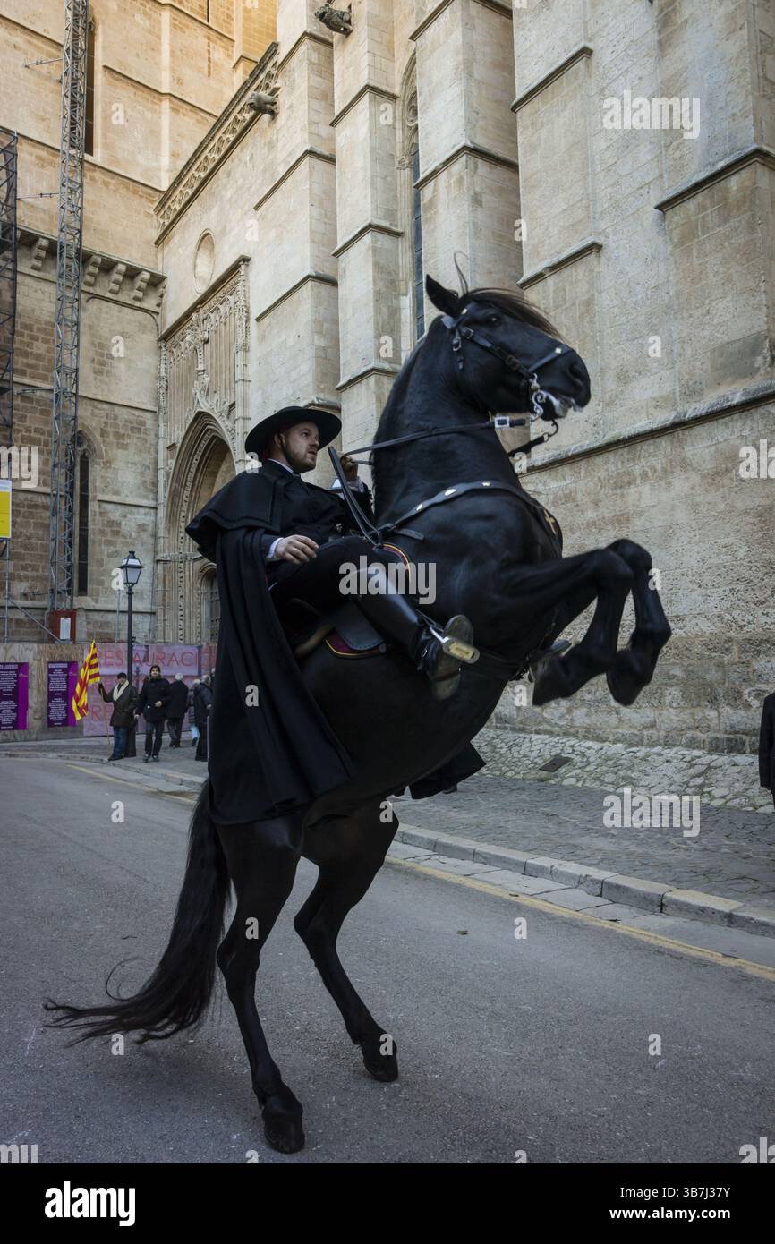 Festa De l'Estonart, festa civico-religiosa nella conquista cristiana della città è commemorata dal re Jaume i il 31 dicembre 1229. Palma, Majo Foto Stock