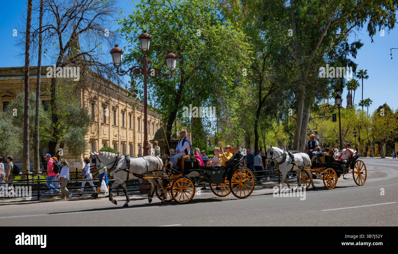 Cavallo e carrozza fuori dall'Università di Siviglia, Andalusia, Spagna Foto Stock