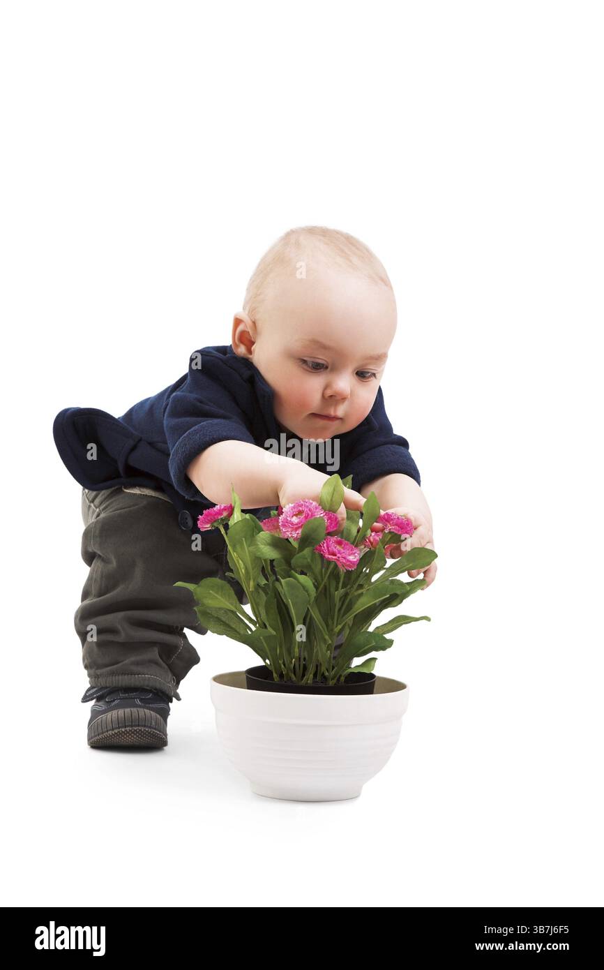 Ragazzo divertente con la pianta della casa Foto Stock