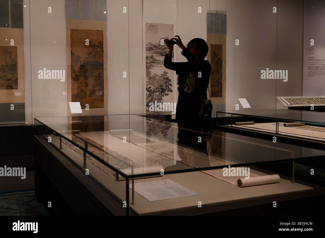 Un visitatore cattura intricati dipinti di pergamena cinesi al Museo d'Arte di Hong Kong Foto Stock