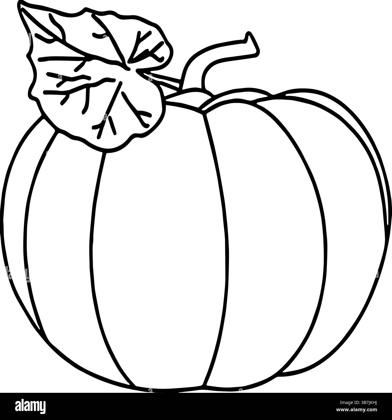 Illustrazione Vector di zucca fresca Illustrazione Vettoriale