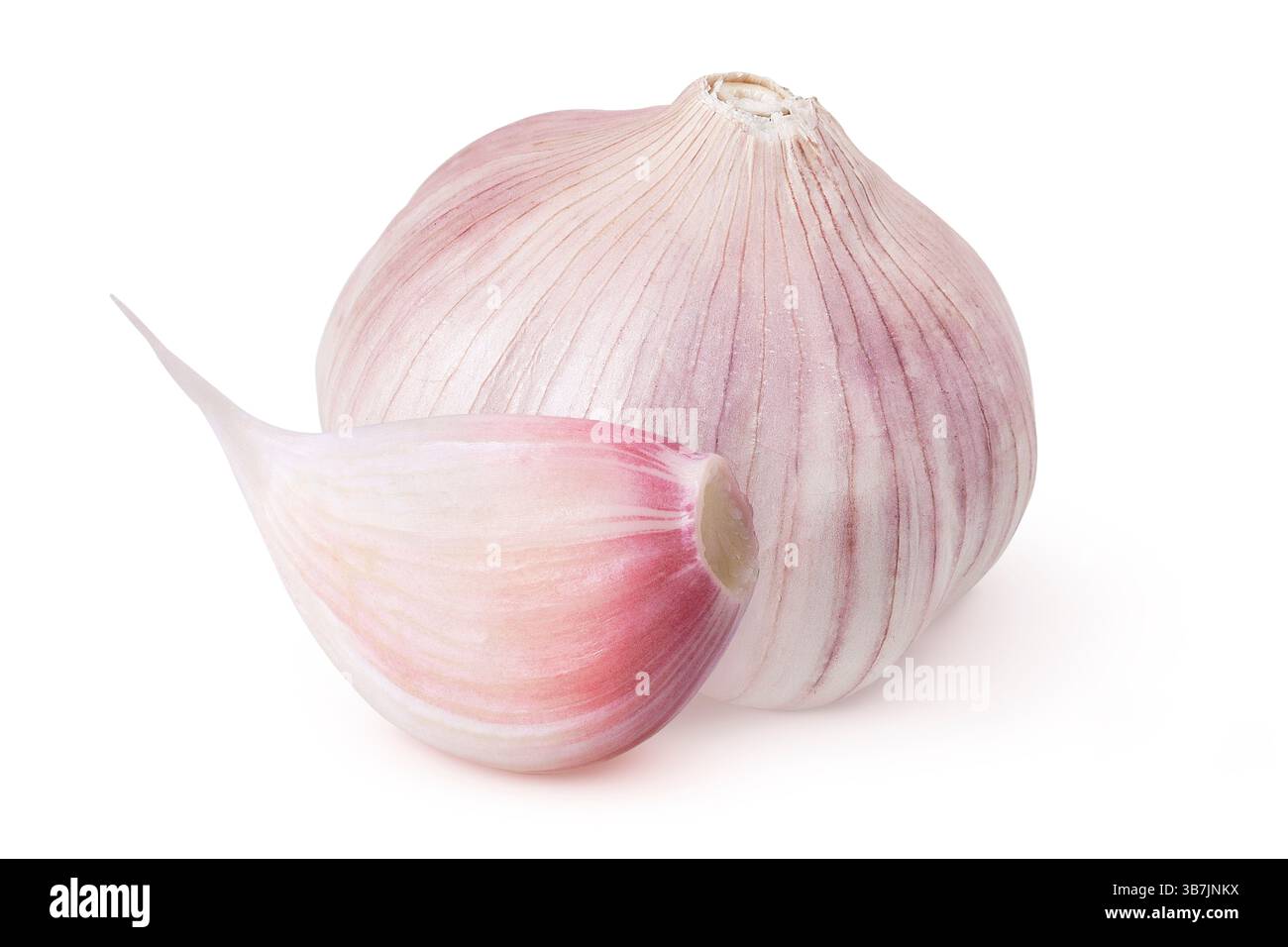 Aglio su sfondo bianco isolato. Aglio intero e spicchio d'aglio. Aglio viola. Foto Stock