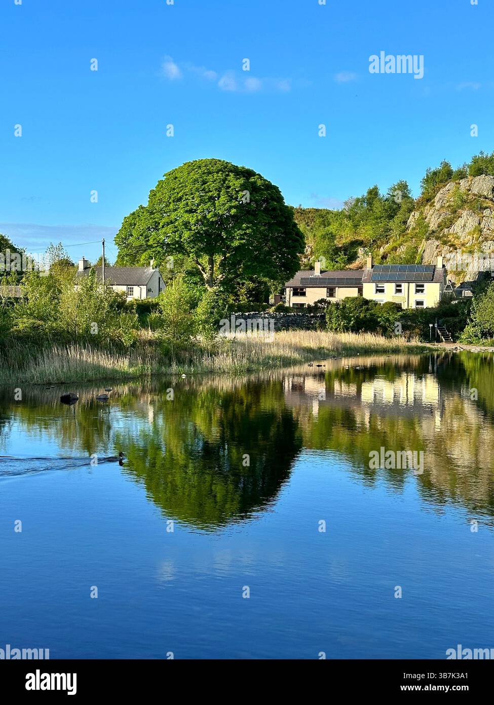 Cottage in pietra che si affacciano sul lago Llyn Padarn a Snowdonia, Galles, circondati da ardesia, alberi e lontane vedute delle montagne. - Immagine stock catturata con smartphone
