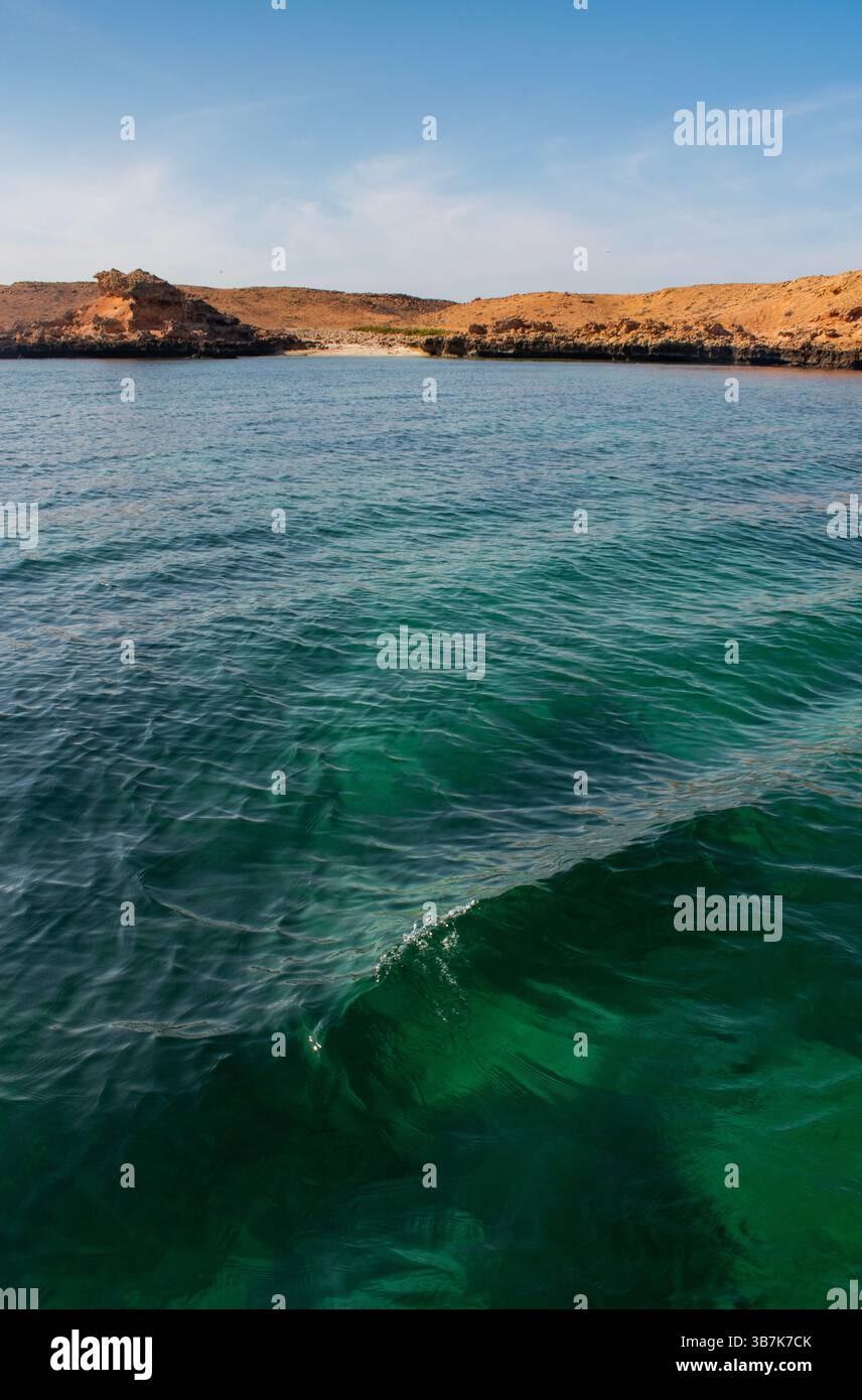Oman: Isole Daymaniyat (ad Dimaniyat), riserva naturale incontaminata e area protetta nel Golfo di Oman, sede di tartarughe marine e uccelli migratori Foto Stock Oman: Isole Daymaniyat (ad Dimaniyat), riserva naturale incontaminata e area protetta nel Golfo di Oman, sede di tartarughe marine e uccelli migratori Foto Stock