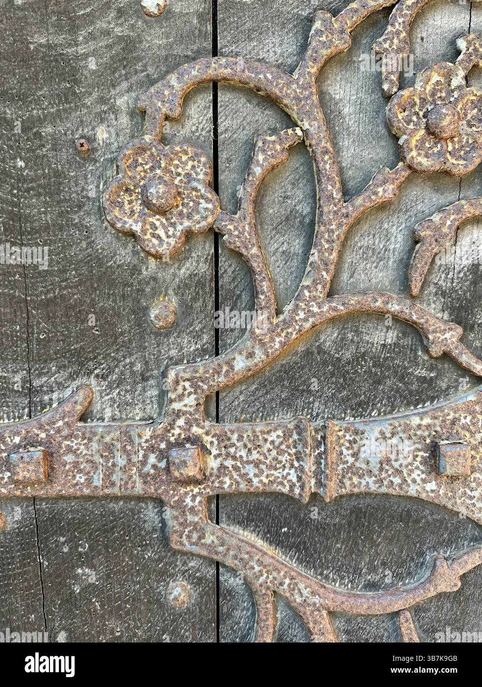 Primo piano di porte in legno ornate e finiture in ferro presso la Cattedrale di Chester, con texture dettagliate e luce calda del sole che mettono in risalto la storica maestria artigianale. - Immagine stock catturata con smartphone