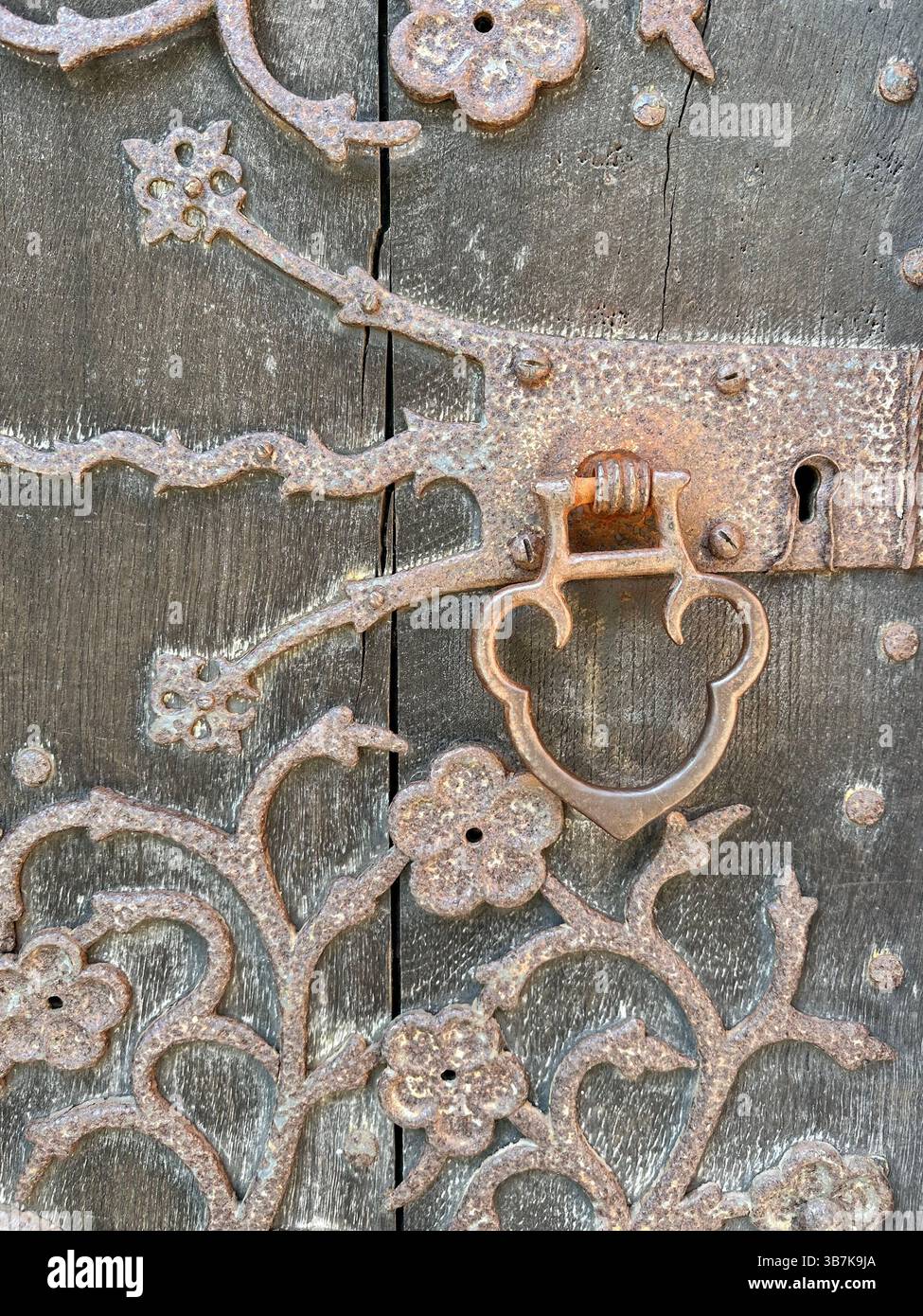 Primo piano di porte in legno ornate e finiture in ferro presso la Cattedrale di Chester, con texture dettagliate e luce calda del sole che mettono in risalto la storica maestria artigianale. - Immagine stock catturata con smartphone