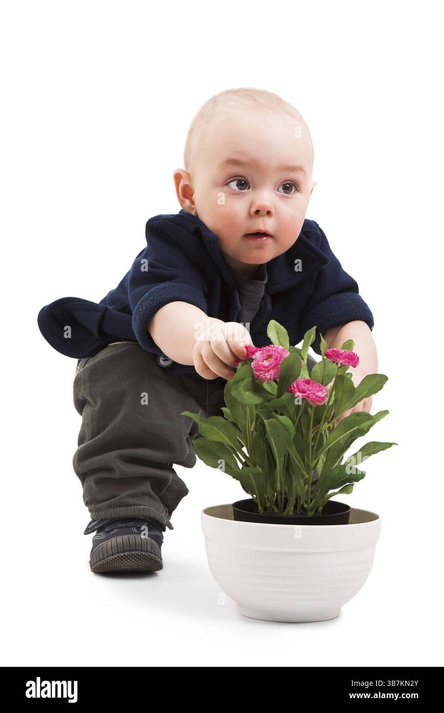 Ragazzo divertente con la pianta della casa Foto Stock
