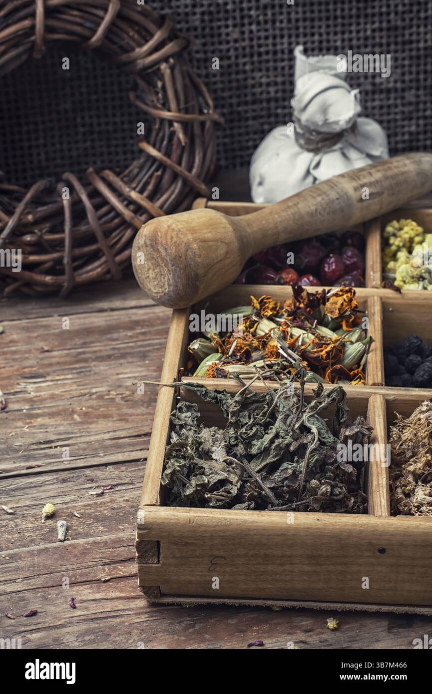 Erbe officinali essiccate in una scatola di legno su sfondo di liquirizia Foto Stock