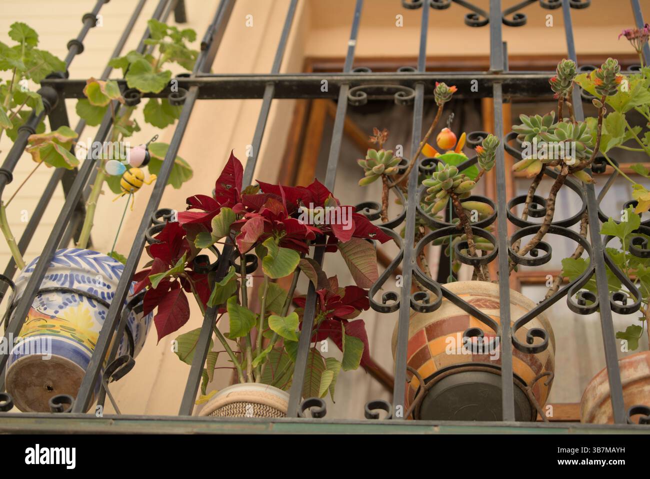 Vasi di fiori e succulenti su un tradizionale balcone spagnolo con ringhiera decorativa in ferro battuto. Siviglia, Spagna Foto Stock