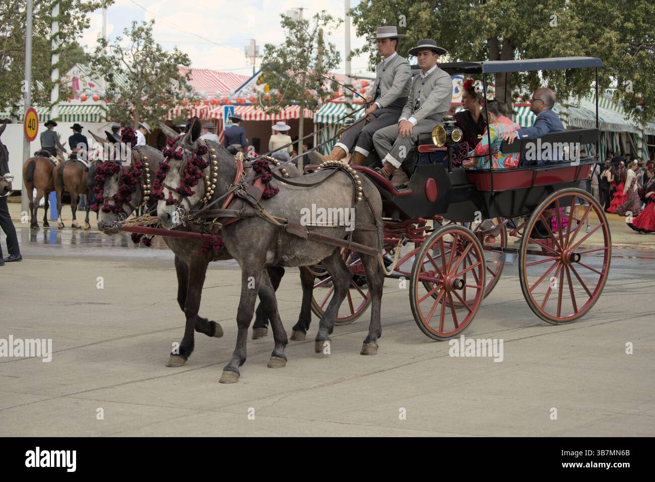 Elegante sfilata in carrozza a cavallo presso la Feria de Sevilla 2025, che mostra la tradizione andalusa e lo stile festivo al Real de la Feria, Spagna. Foto Stock