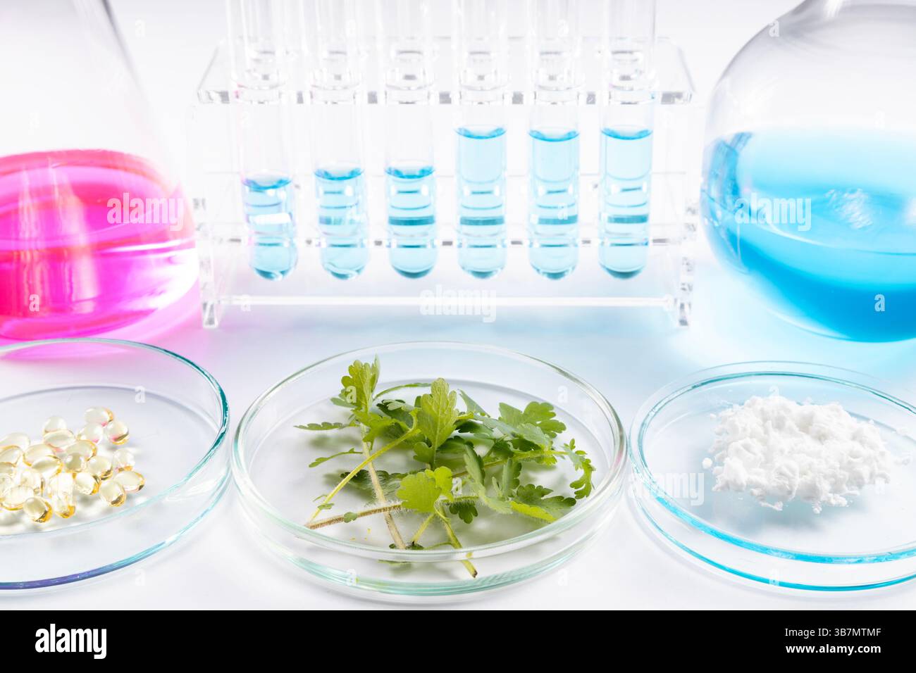 Lavoro di laboratorio di scienziati che creano nuovi rimedi naturali Foto Stock