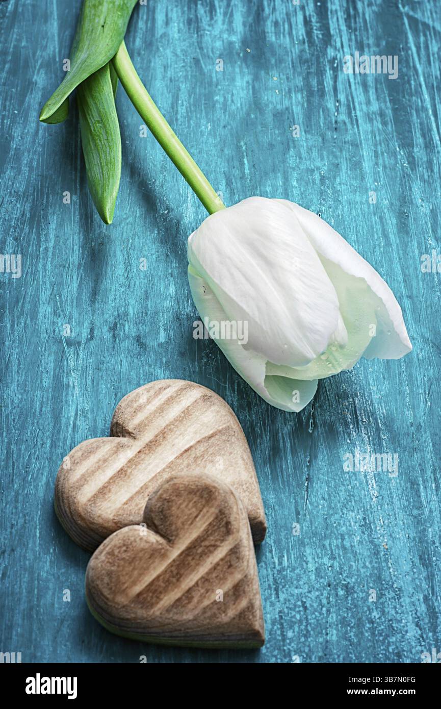 Simbolico cuore in legno sullo sfondo di un tulipano bianco Foto Stock