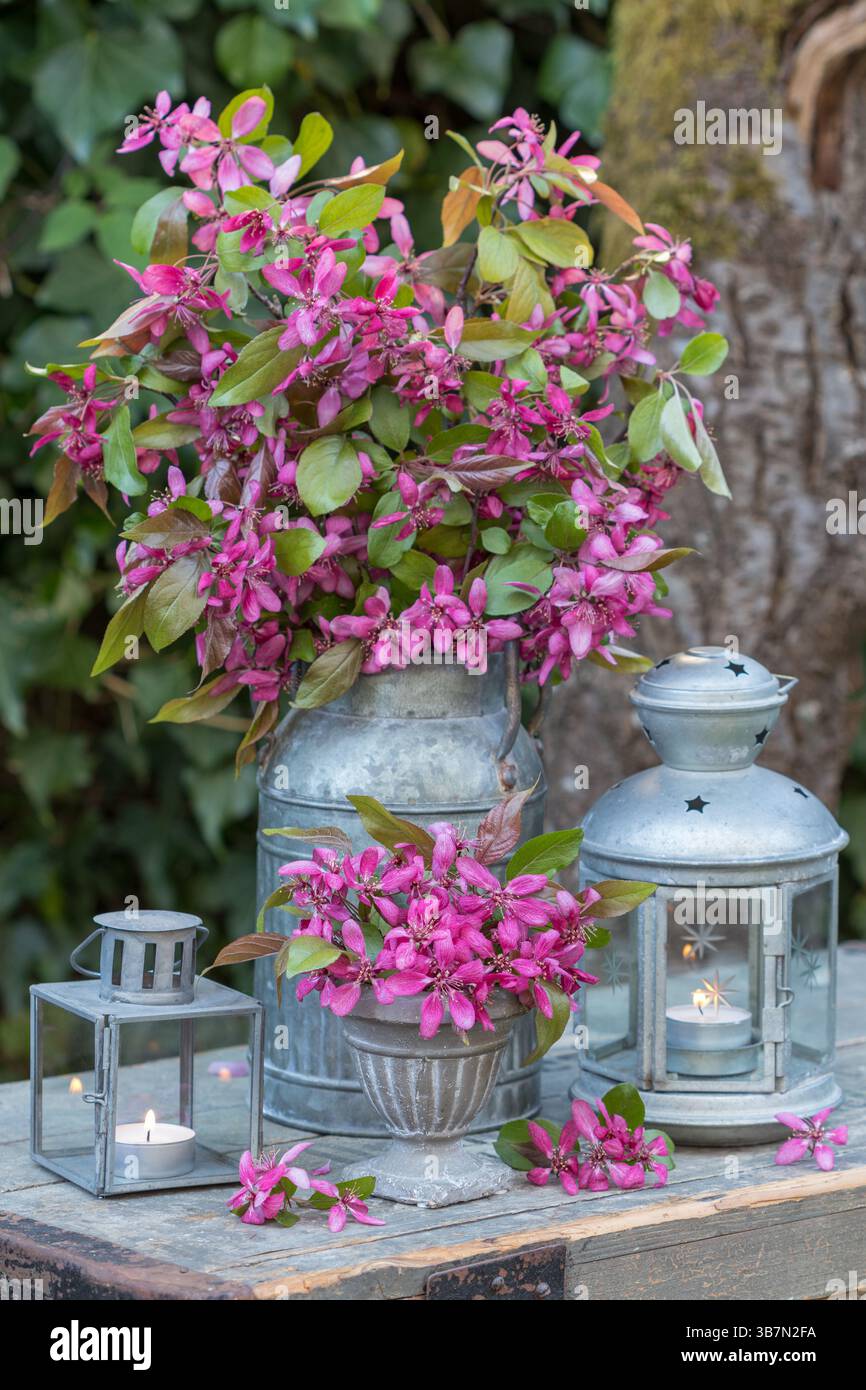 disposizione giardino con bouquet di fiori di granchio e lanterne vintage Foto Stock