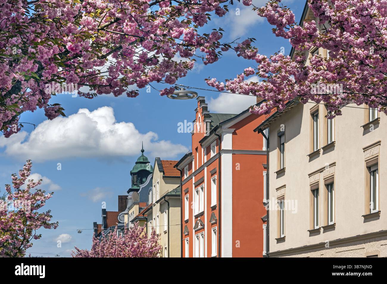 Facciata rossa classicista con timpano a gradini e riconoscimento dei primi ciliegi ornamentali (Prunus subhirtella), a Kempten, Allgaeu, Svevia, Baviera, Germania, E. Foto Stock