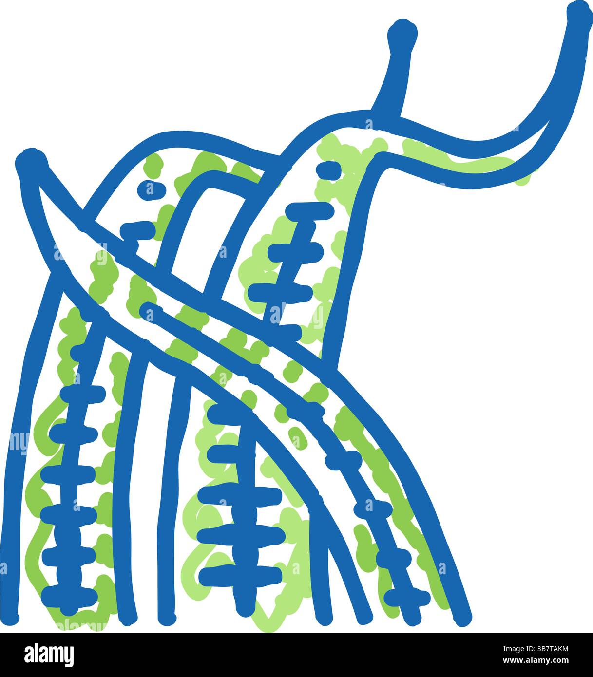 illustrazione dell'icona balansae di cryptocoryne Illustrazione Vettoriale