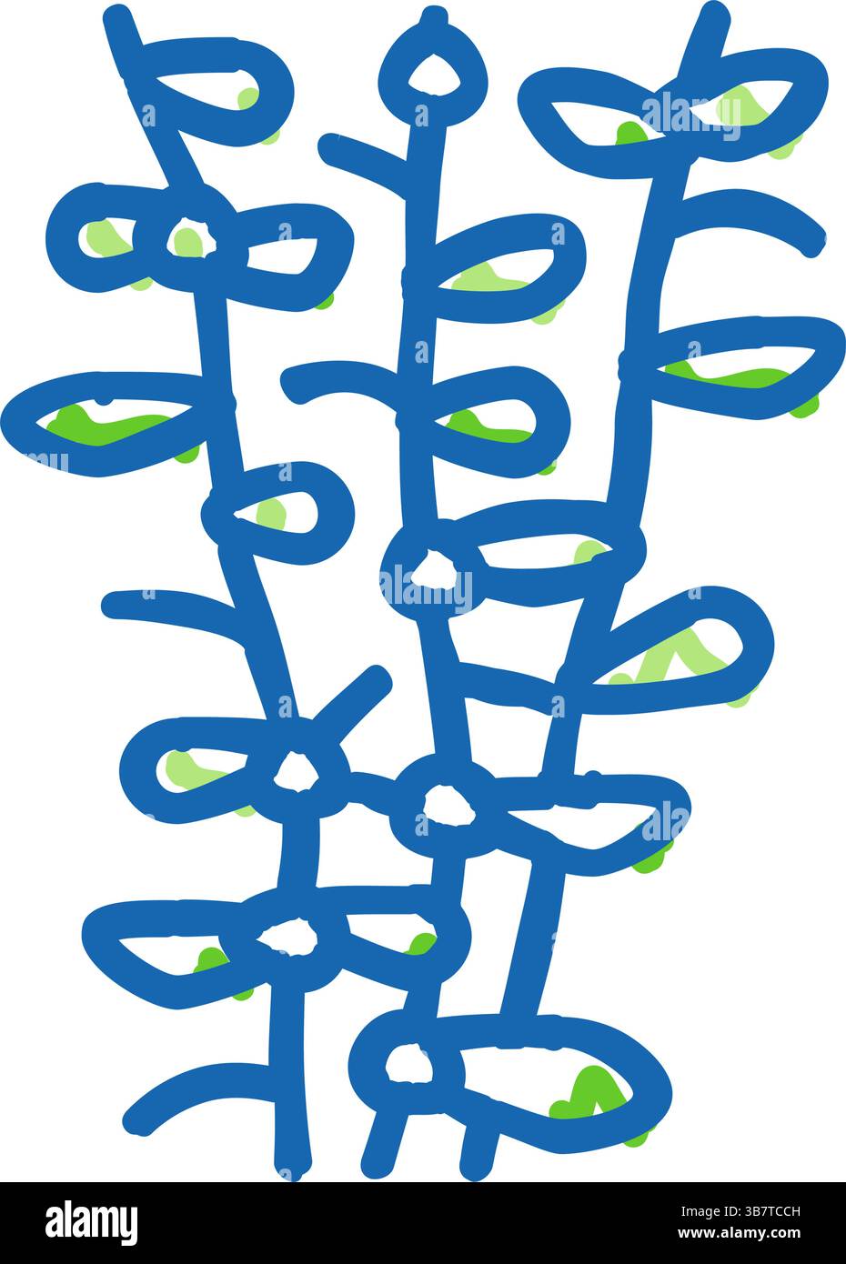 illustrazione doodle icona di moneywort alga Illustrazione Vettoriale