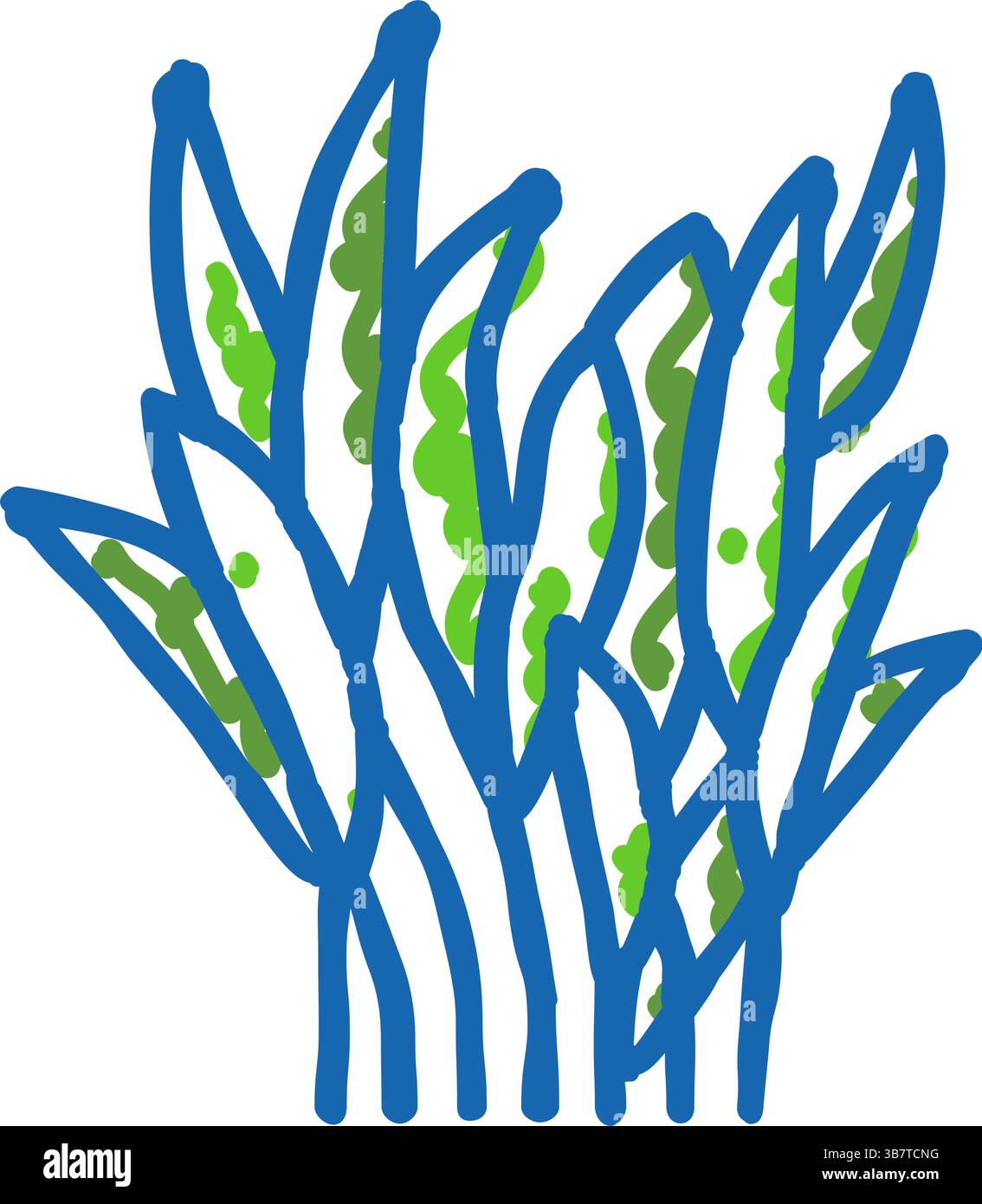 illustrazione a doodle dell'icona della felce java Illustrazione Vettoriale