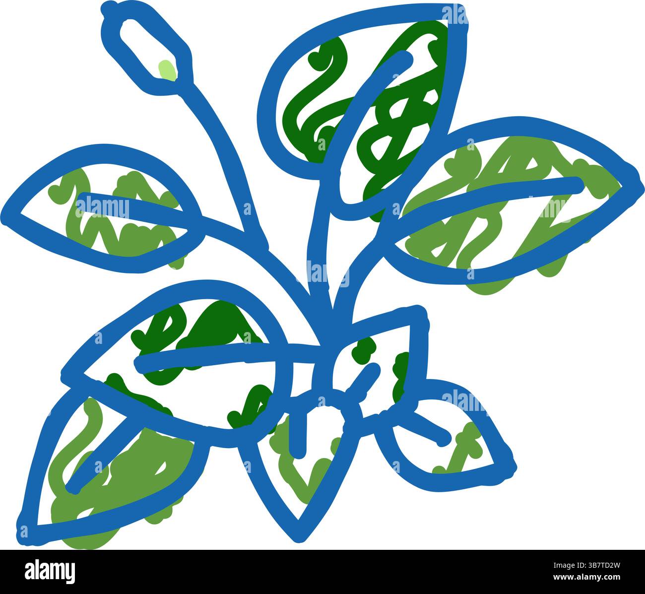 illustrazione del doodle con l'icona anubia nana Illustrazione Vettoriale