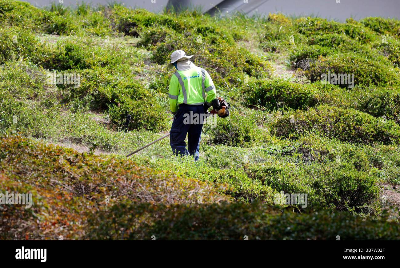 20 aprile 2024: Un operaio del prato lungo la 136th Avenue all'alba lunedì 12 febbraio 2024. I legislatori della Florida su entrambi i lati del corridoio hanno sponsorizzato progetti di legge negli ultimi sei dei sette anni che proteggerebbero i Floridiani che lavorano fuori nel caldo. (Immagine di credito: © Carline Jean/Orlando Sentinel tramite ZUMA Press Wire) Foto Stock