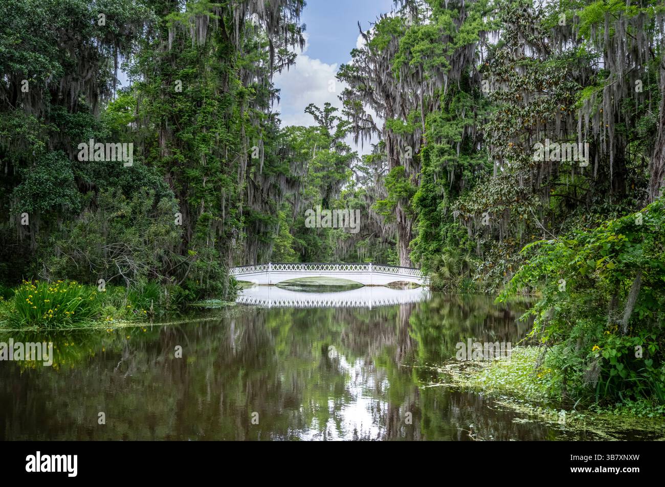 MAGNOLIA PLANTATION & GARDENS (1679) CHARLESTON SOUTH CAROLINA USA Foto Stock MAGNOLIA PLANTATION & GARDENS (1679) CHARLESTON SOUTH CAROLINA USA Foto Stock