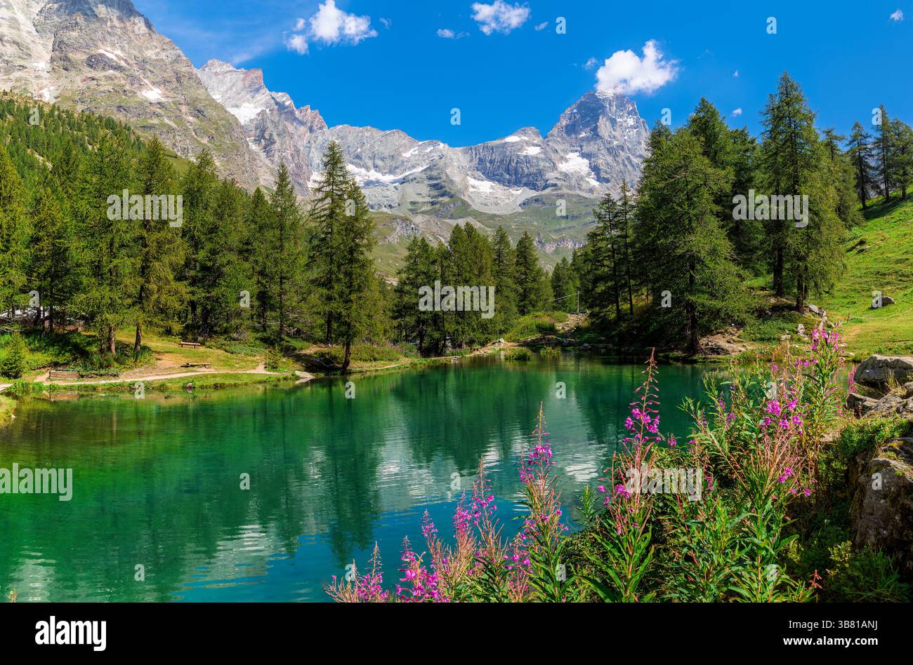 Lago Blu circondato da vegetazione lussureggiante e vibranti fiori selvatici sotto un cielo azzurro come la catena montuosa e la vetta del Cervino sullo sfondo. In Italia. Foto Stock