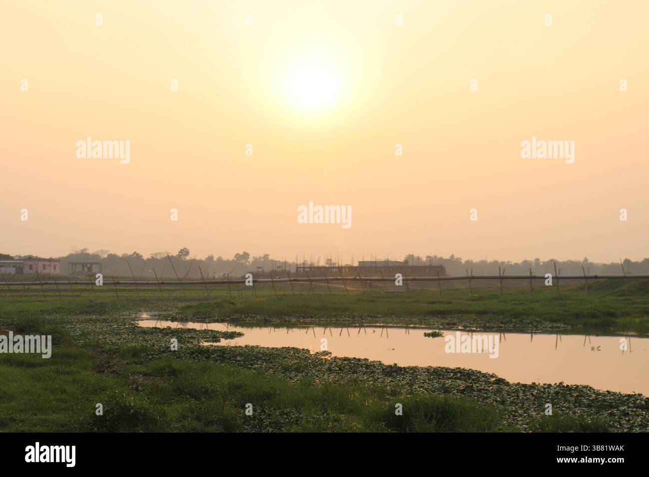 Il paesaggio presenta un tranquillo corso d'acqua con ninfee, lussureggianti erbe verdi e una struttura di bambù sullo sfondo di edifici all'alba. T Foto Stock