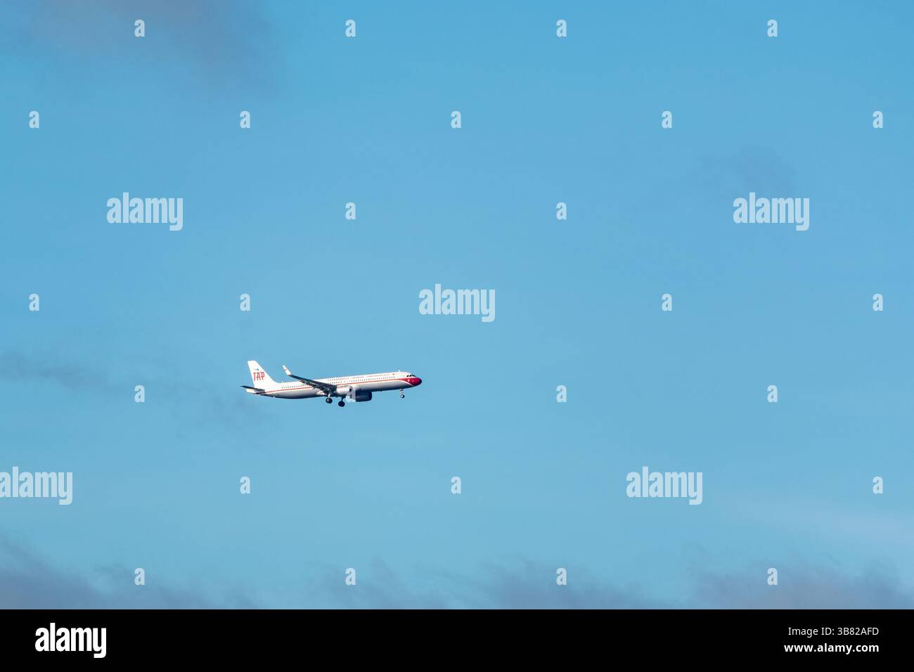 Lisbona, Portogallo-5 dicembre 2024, TOCCARE Air Portugal Airbus A321 livrea retro contro un cielo blu Foto Stock