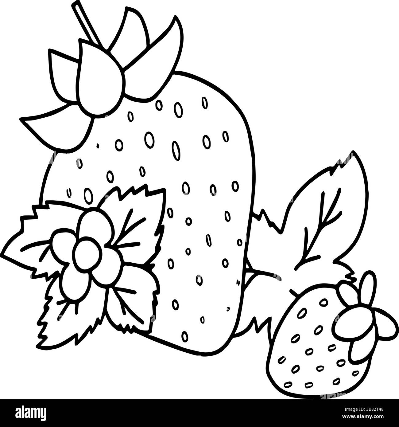 Immagine vettoriale di un'illustrazione dettagliata della fragola Illustrazione Vettoriale