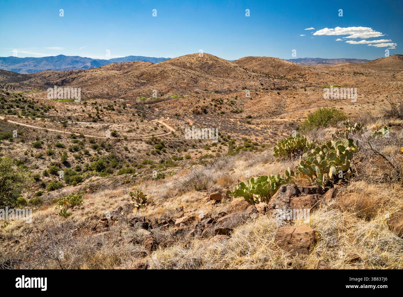 Perry Mesa, Bradshaw Mountains in lontananza, vista da Bloody Basin Road, Aqua Fria National Monument, Arizona, USA Foto Stock