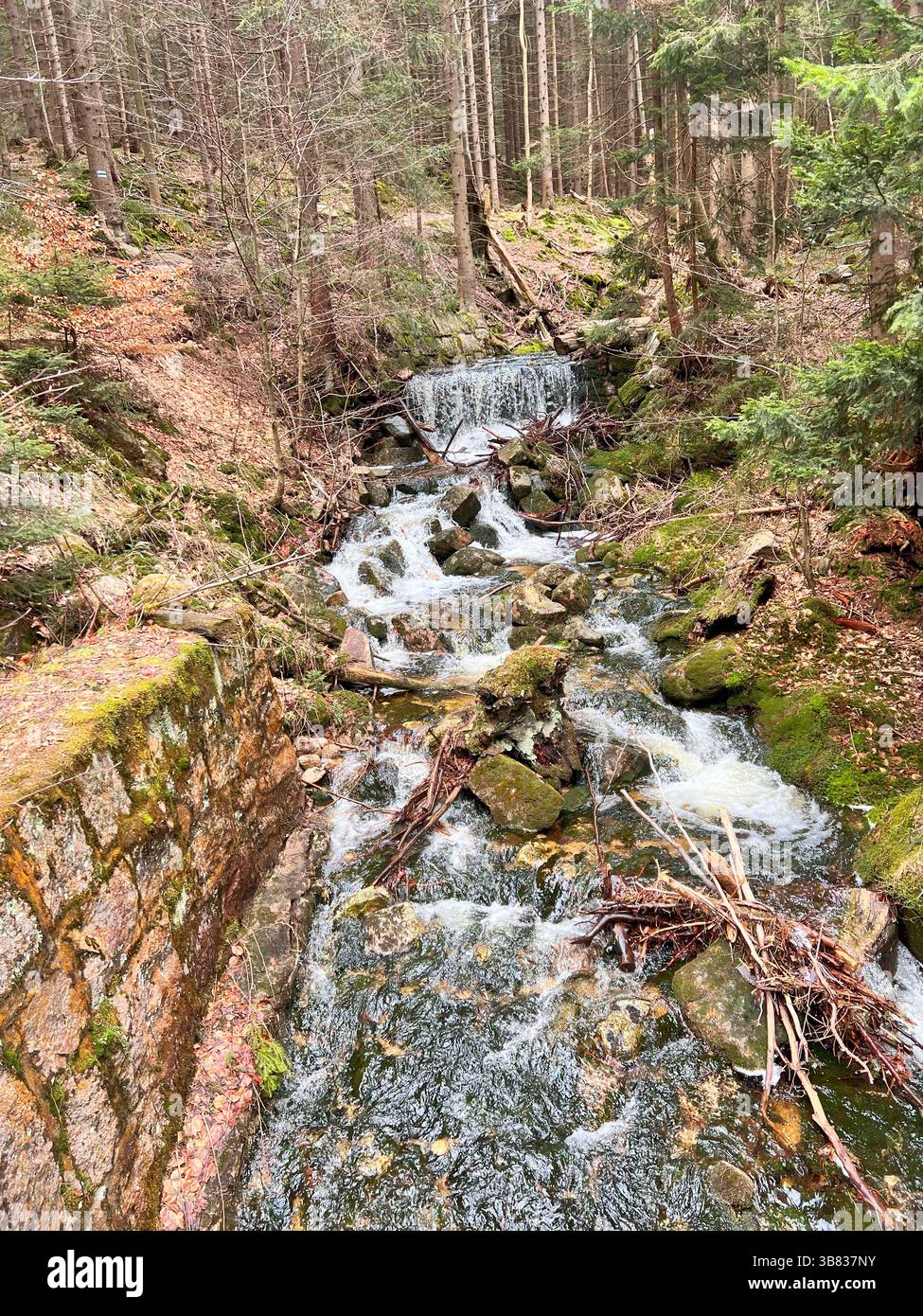 Torrenti e cascate di Karkonosze, zona di Piechowice Foto Stock