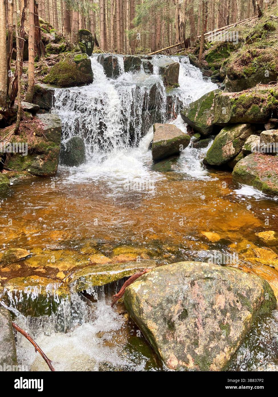 Torrenti e cascate di Karkonosze, zona di Piechowice Foto Stock