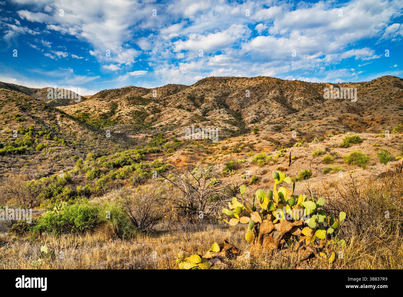 Hutch Mesa Hills, New River Mountains, vista da Bloody Basin Road, Tonto National Forest, Arizona, USA Foto Stock