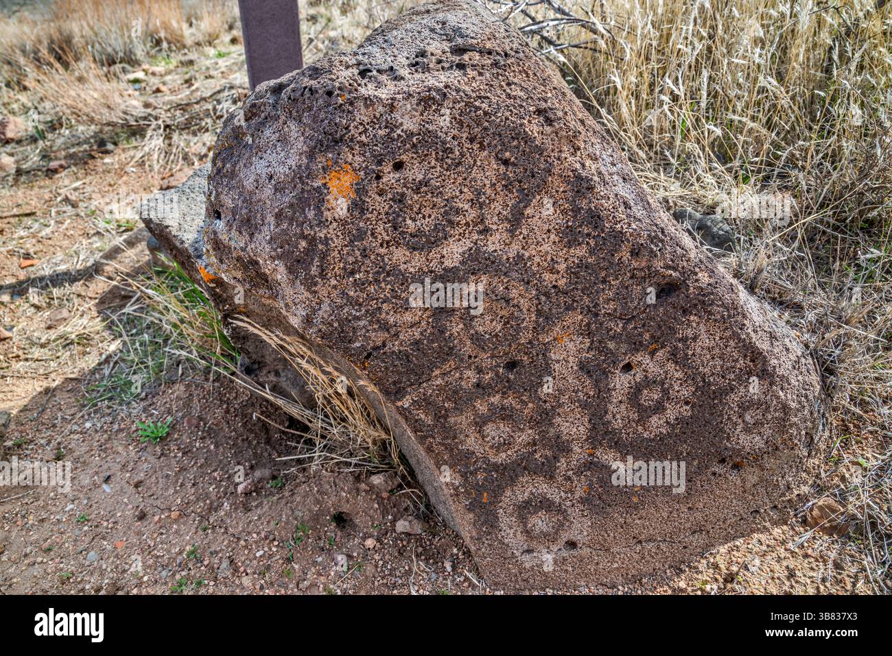 Incisioni rupestri di figure geometriche presso le rovine dei nativi americani a Pueblo la Plata, Perry Mesa, Aqua Fria National Monument, Arizona, USA Foto Stock