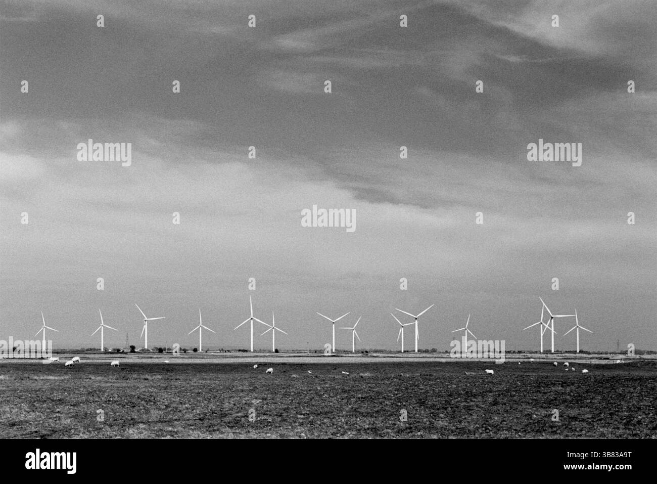 Piccola corte Cheyne wind farm su Romney Marsh, Kent, Inghilterra Foto Stock