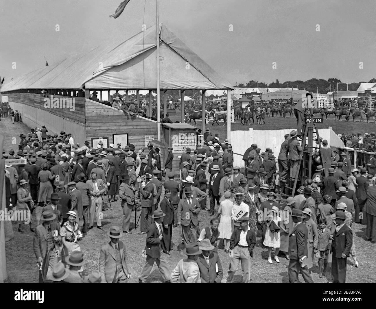 I cavalli sono al centro dell'arena al 1934 The Royal Agricultural Show di Ipswich, Suffolk, Inghilterra, Regno Unito. Qui le persone stanno accedendo a uno degli stand per vedere gli animali. Un uomo con il massimo del cappello vende ghiacci. Il Royal Agricultural Show (RAS) si tenne ogni anno in un luogo diverso in tutta l'Inghilterra, e dal 3 al 7 luglio 1934, Chantry Park, a Ipswich fu sede dell'evento. Lo spettacolo è stato un grande successo con le aziende che avevano preso posto alla fiera (c'erano quasi mille stand commerciali), una fotografia vintage degli anni '1930. Foto Stock