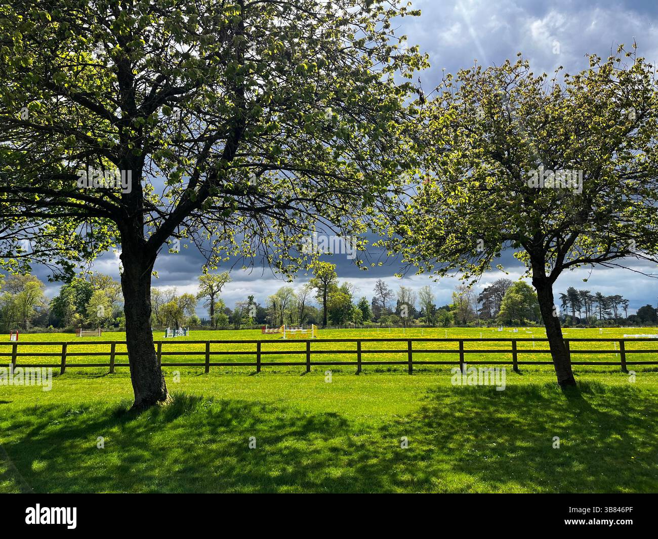 Luce solare attraverso gli alberi sul bordo di un campo. Splendidi green lussureggianti che celebrano tutto ciò che è glorioso in primavera. Sfondo nuvoloso grigio. - Immagine stock catturata con smartphone