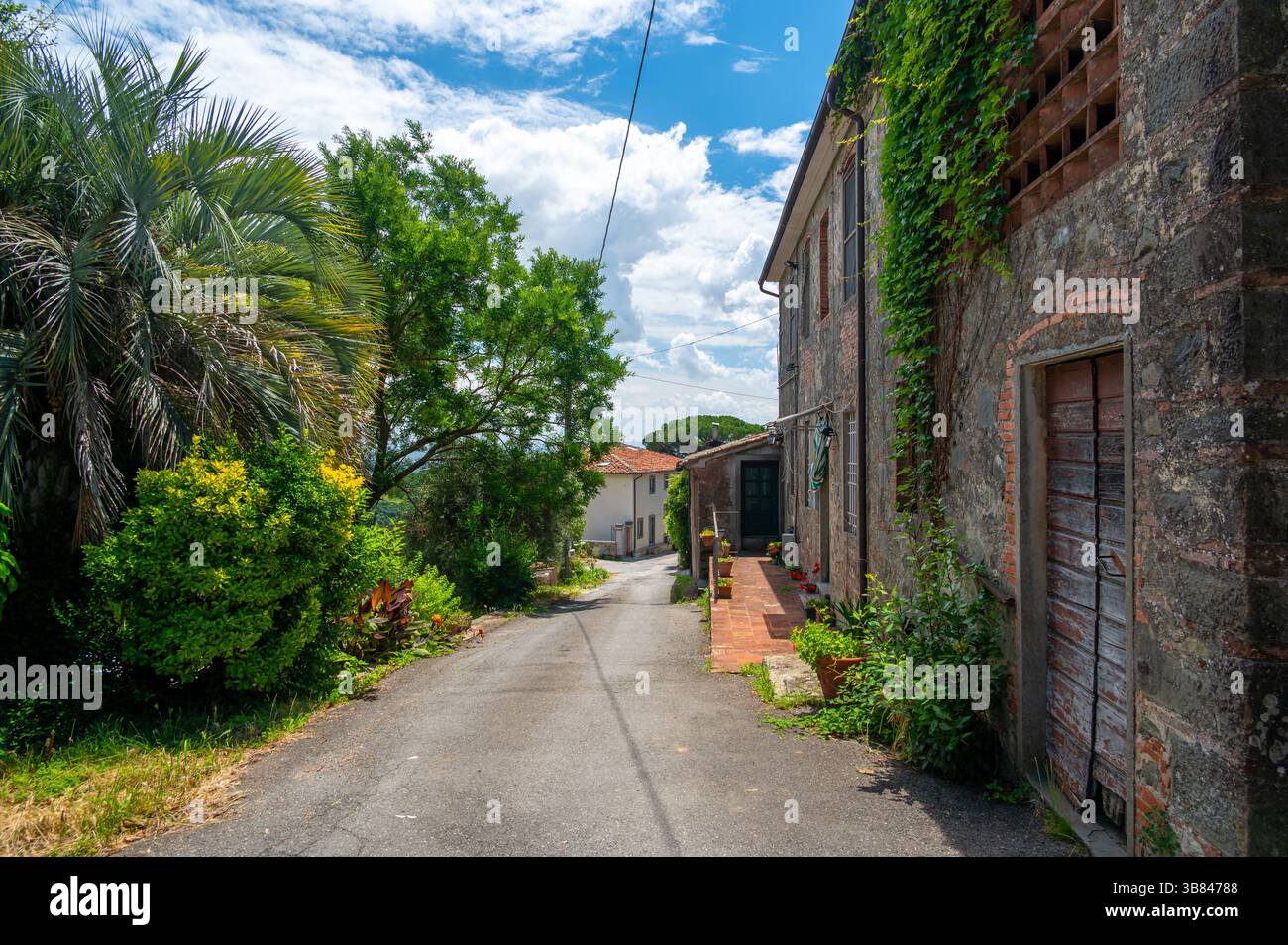 Affascinante vicolo toscano con una casa in mattoni da un lato e vegetazione fiorente dall'altro. Una tranquilla scena estiva che cattura la bellezza rustica del traditore Foto Stock