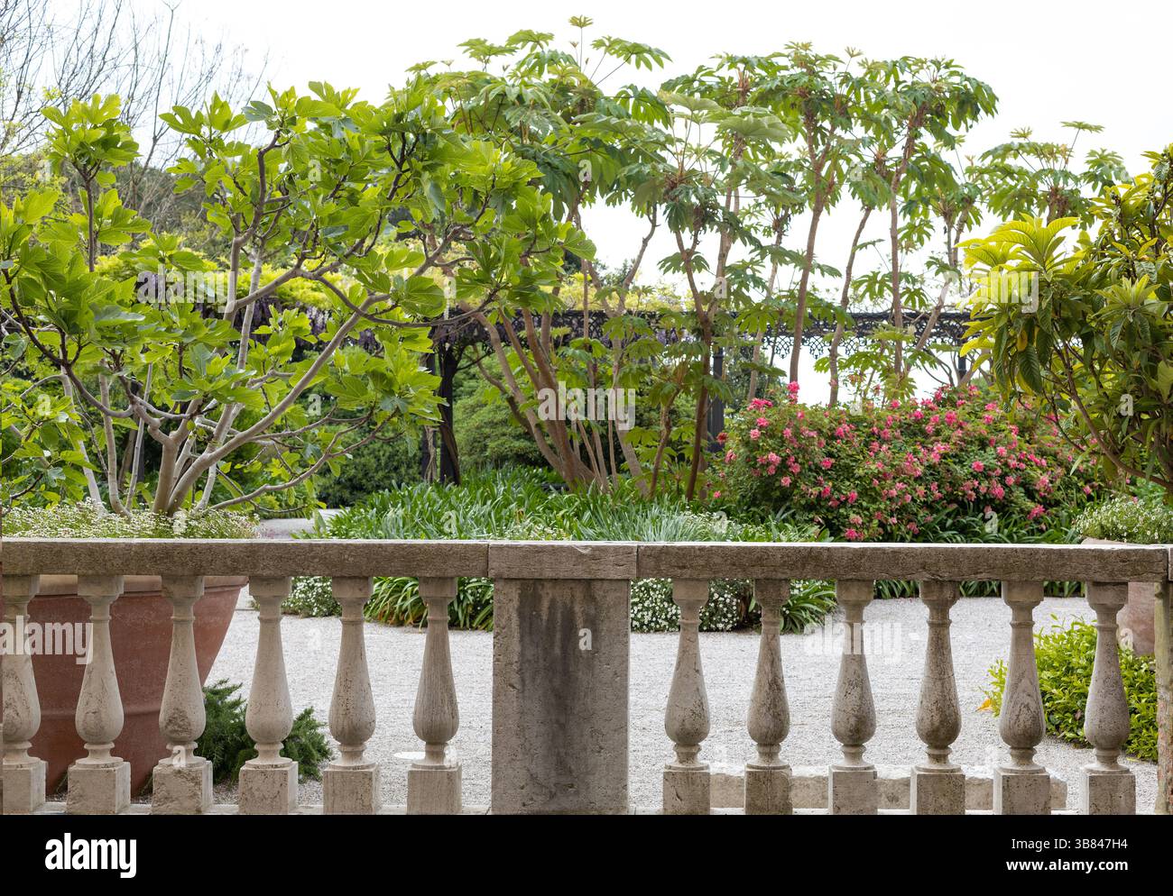 Lussureggiante parco veneziano con balaustra in pietra Foto Stock