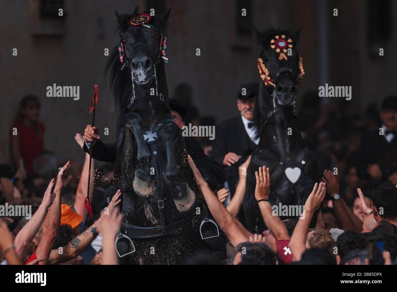 23 giugno 2024, Ciutadella De Menorca, Isole Baleari, Spagna: Un "caixer" (cavaliere) si alza sul suo cavallo circondato da una folla di tifo durante la "Caragol des Born" (parata di cavalli) alla vigilia della tradizionale festa di Sant Joan (San Giovanni). (Immagine di credito: © Matthias Oesterle/ZUMA Press Wire) Foto Stock