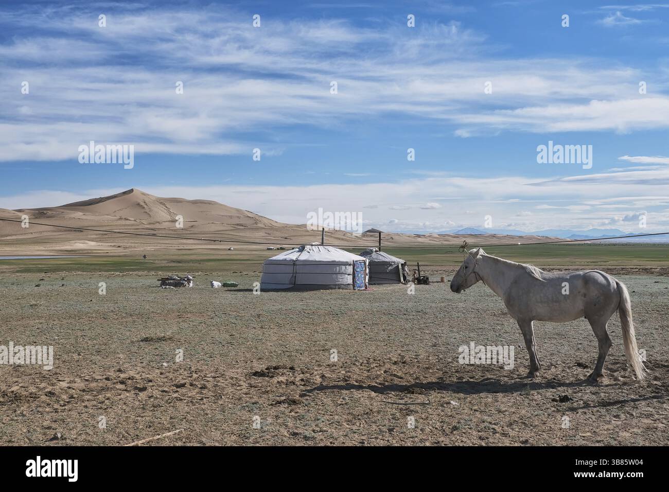 Paesaggio della Mongolia Foto Stock